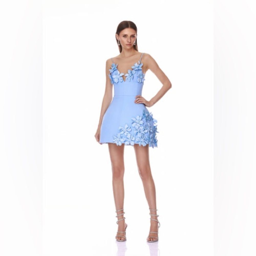 Bronx and Banco Powder Blue Floral Appliqué Mini Dress - Picture 5 of 15